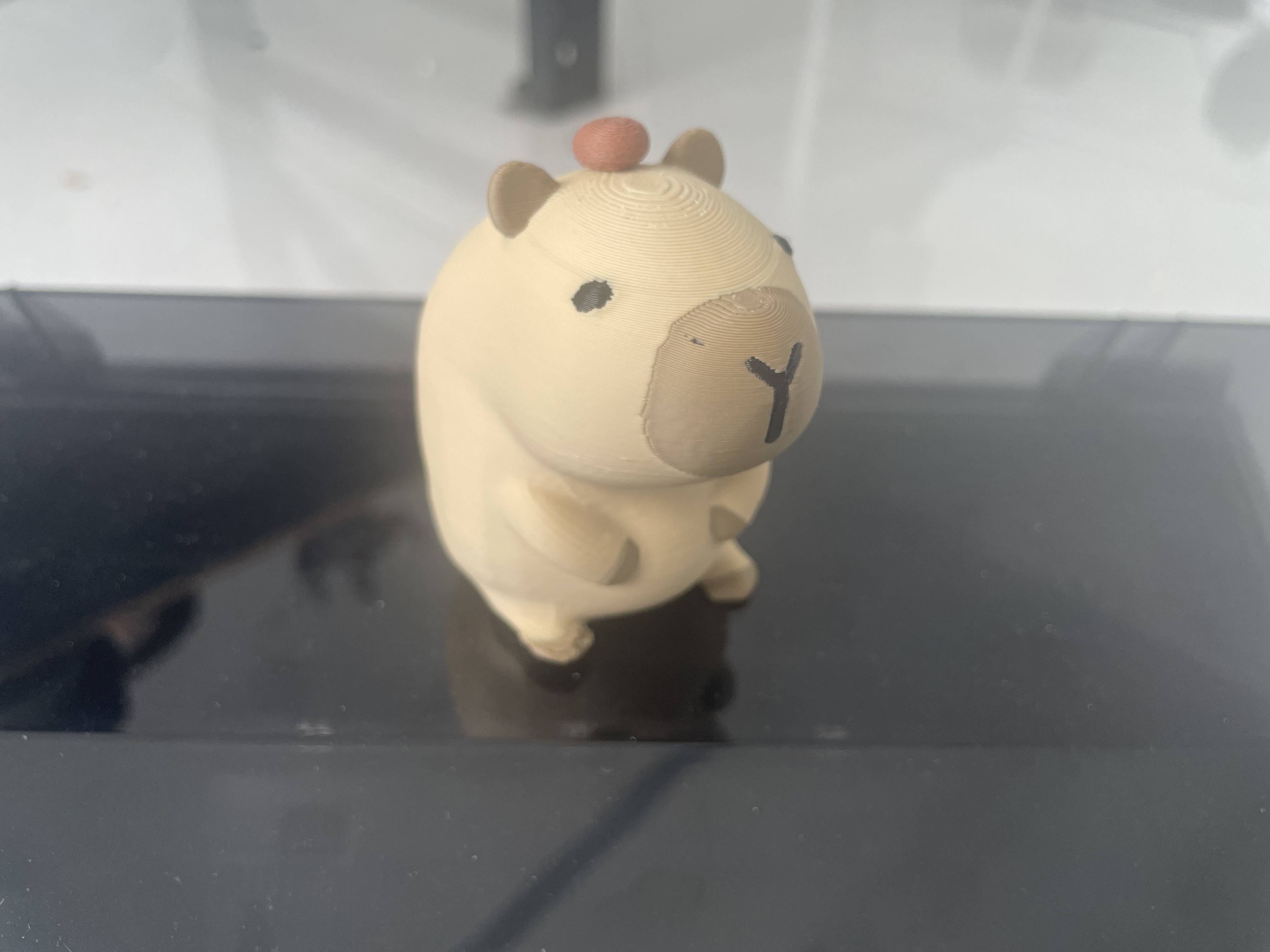 model.jpg